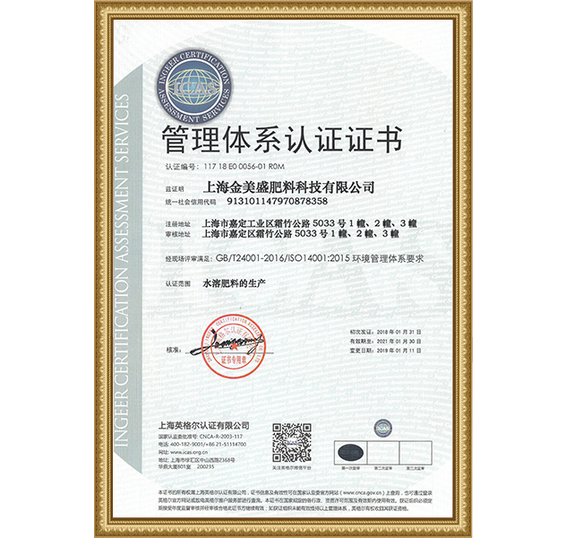  14001管理體系證書--金美盛（中文版）